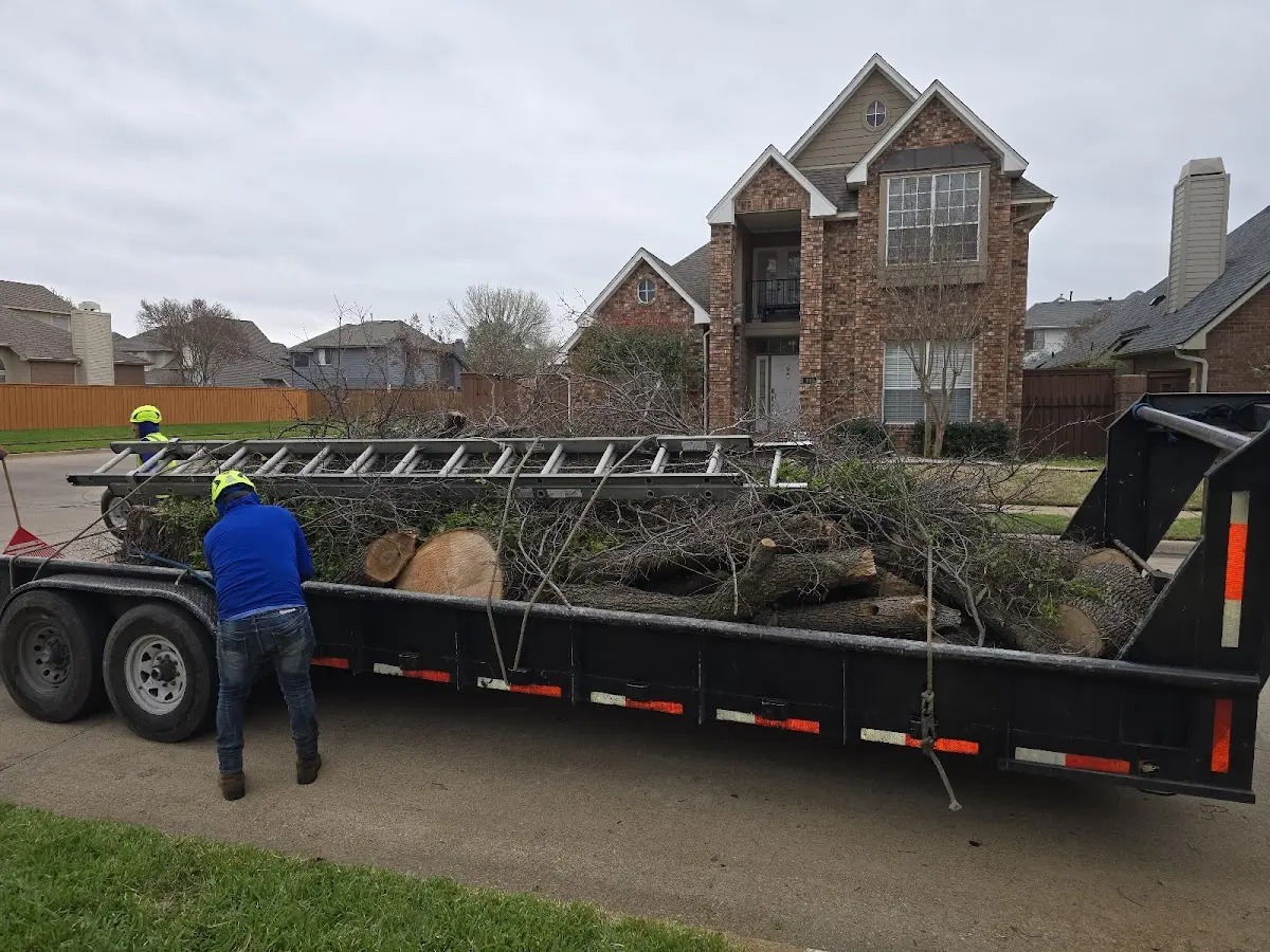 Expert Lot Clearing with proper safety equipment in Pindall